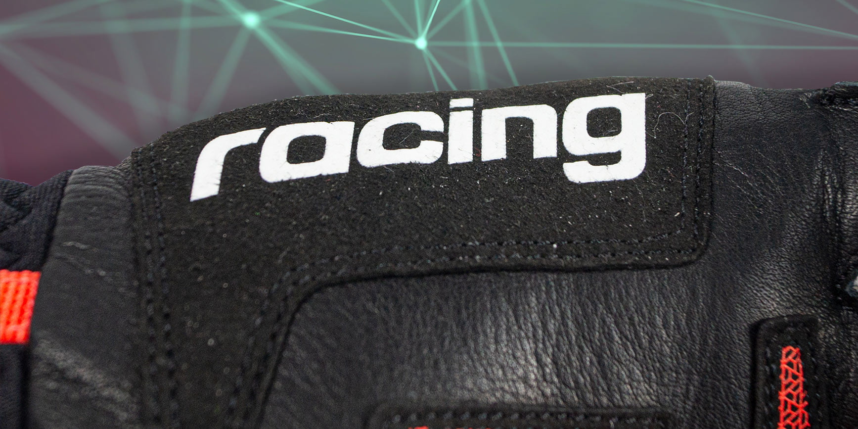 Reusch Slovenija Wordcup Warrior GS